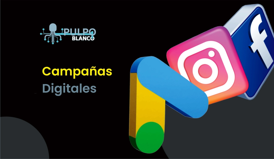 Campañas Digitales Pulpo Blanco Campaña Meta Ads Setup