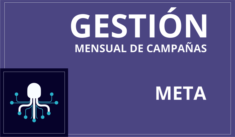 Gestión Mensual de Campañas Meta